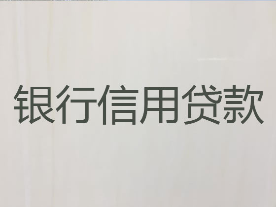 朝阳贷款公司-银行信用贷款